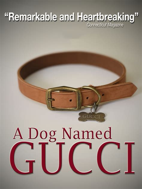 a dog named gucci trailer|A DOG NAMED GUCCI .